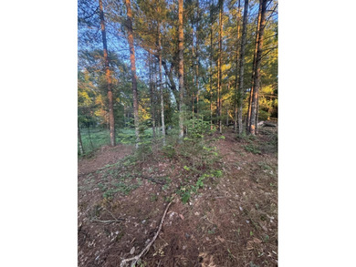 Escape to the natural beauty of Northern Michigan with this - photo 22