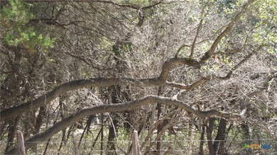 RARE FIND! Beautiful UNRESTRICTED small acreage property tucked - photo 4