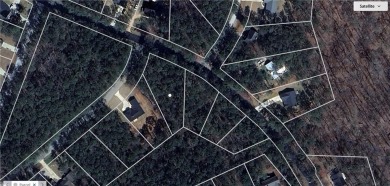 Lake Lot For Sale in Monticello, Georgia