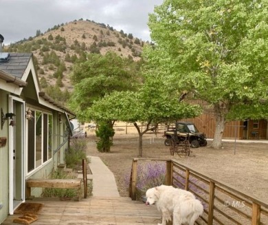 Goose Lake Home For Sale in Davis Creek California