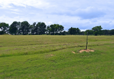 3 LOTS TOTALING 3.54 ACRES ACROSS THE STREET FROM LAKE FORK - photo 15