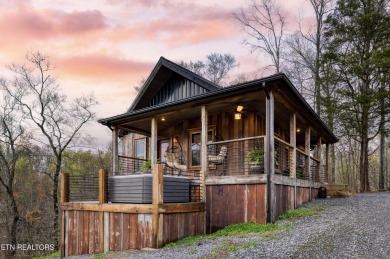 Lake Home For Sale in Sevierville, Tennessee