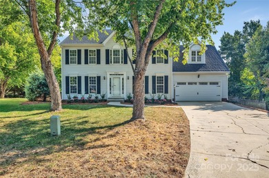 Lake Wylie Home For Sale in Charlotte North Carolina