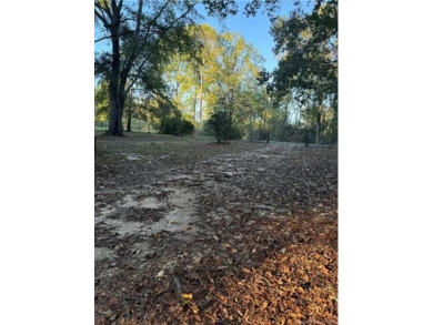 Lake Lot For Sale in Anacoco, Louisiana