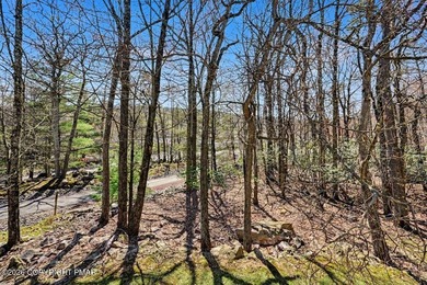 SLOPE VIEW! LAKE VIEW! Come to Big Boulder Lake! Serene Water - photo 17