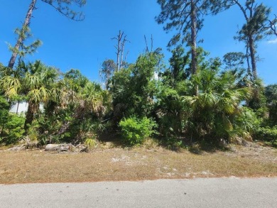 Northport Waterway Lakes and Canals Lot For Sale in North Port Florida