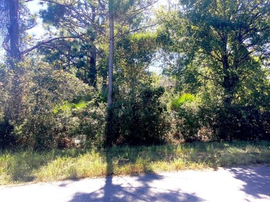 Lake Placid - Highland County Lot For Sale in Lake Placid Florida