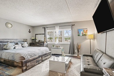 Fully remodeled unit with a lovely pond view in the heart of the - photo 8