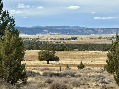 (private lake, pond, creek) Acreage For Sale in Likely California