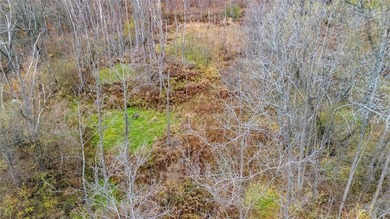 Price Improvement! Now offered at $239,900, this 1.1-acre - photo 11
