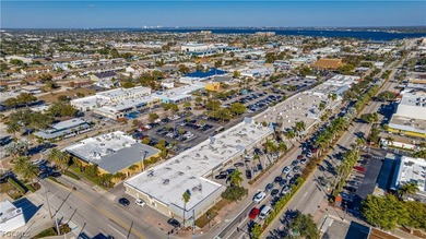 Big John Plaza, a cornerstone of the Cape Coral commercial - photo 4