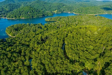 Tocami Lot 7: This 2.22 acre homesite is the best value in - photo 14
