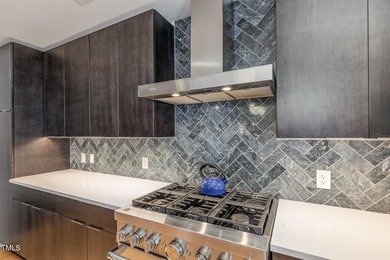 Are you ready for the excitement of living in a luxury Condo in