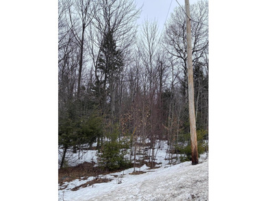 10 acres located on Pup Hill Road within the Adirondack Park - photo 3