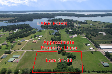 3 LOTS TOTALING 3.54 ACRES ACROSS THE STREET FROM LAKE FORK - photo 1