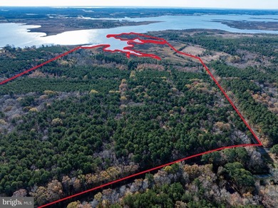 (private lake, pond, coastal) Home For Sale in Westover Maryland