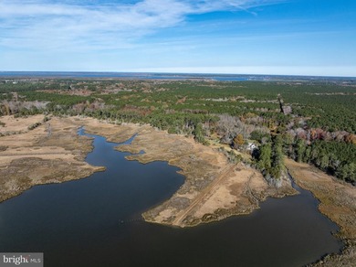 Cedar Point Farm is a rare, intact nineteenth-century Chesapeake - photo 3