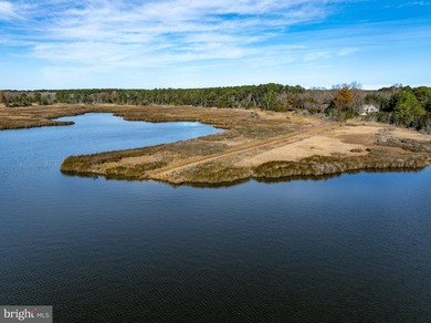 Cedar Point Farm is a rare, intact nineteenth-century Chesapeake - photo 4
