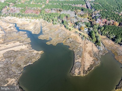 Cedar Point Farm is a rare, intact nineteenth-century Chesapeake - photo 8