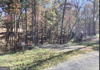Coosawattee River Lot For Sale in Ellijay Georgia
