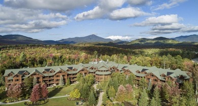 Enjoy luxury Adirondack living with Private Residence #205 - photo 3