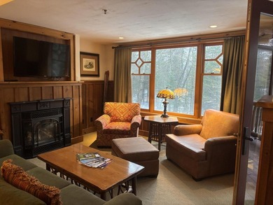 Enjoy luxury Adirondack living with Private Residence #205 - photo 7