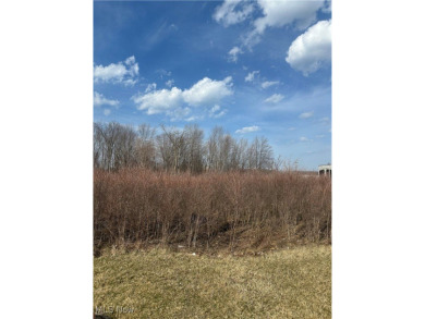 Lake Erie - Lake County Commercial For Sale in Willoughby Ohio