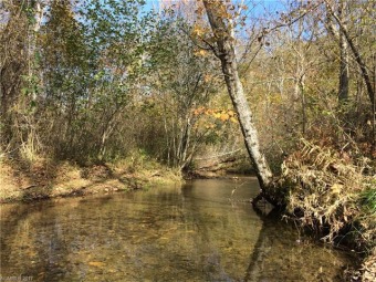 (private lake, pond, creek) Acreage For Sale in Marion North Carolina