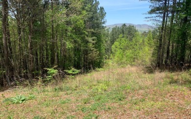 Lake Nottely Lot For Sale in Blairsville Georgia