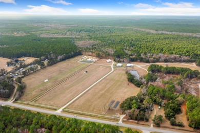 (private lake, pond, creek) Home For Sale in Mcclellanville South Carolina