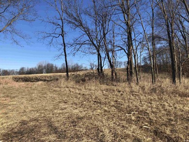 Bixler Lake Acreage For Sale in Kendallville Indiana