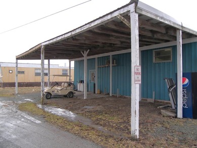 Lake area seasonal business known as Chapman Lake Marina and - photo 7