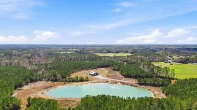 (private lake, pond, coastal) Acreage For Sale in Aynor South Carolina