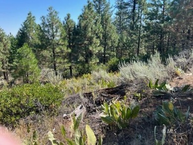 (private lake, pond, coastal) Acreage For Sale in Adin California