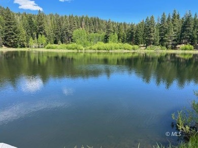 Lake Home For Sale in Fort Bidwell, California