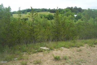 Lake Lot For Sale in Sevierville, Tennessee