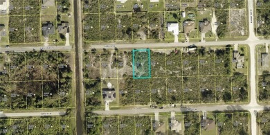 Lehigh Acres Area Lot For Sale in Lehigh Acres Florida