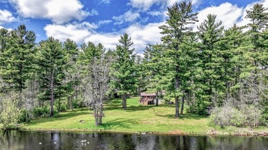Peaceful waterfront property set on 4.29 acres with - photo 31