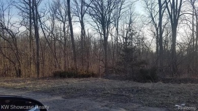 South Commerce Lake Lot For Sale in Commerce Twp Michigan