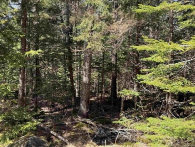 Lake Lot For Sale in Forties,