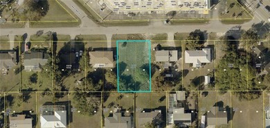 Lehigh Acres Area Lot For Sale in Lehigh Acres Florida