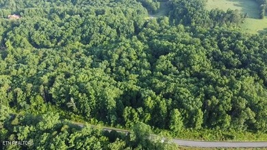 Douglas Lake Acreage For Sale in Dandridge Tennessee