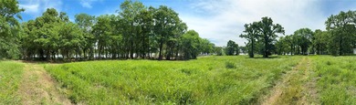 Rarely does a property of this caliber become available - photo 5