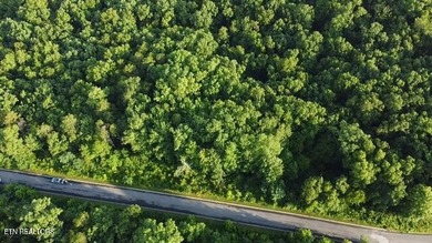 Douglas Lake Acreage For Sale in Dandridge Tennessee