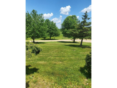 Lake Lot For Sale in Brooklyn, Michigan