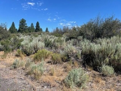 Lake Lot For Sale in Chiloquin, Oregon