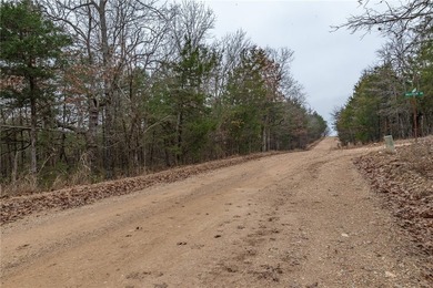Nearly 11.76 acres located on Sunset Dr in Diamond City offering - photo 11