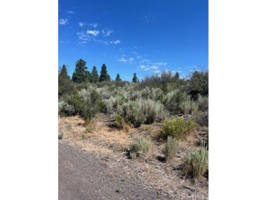 Lake Lot For Sale in Chiloquin, Oregon