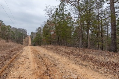 Nearly 11.76 acres located on Sunset Dr in Diamond City offering - photo 12