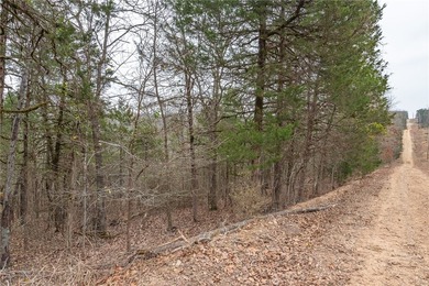 Nearly 11.76 acres located on Sunset Dr in Diamond City offering - photo 13